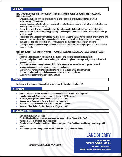 sample resume for it recruiter essaysbank